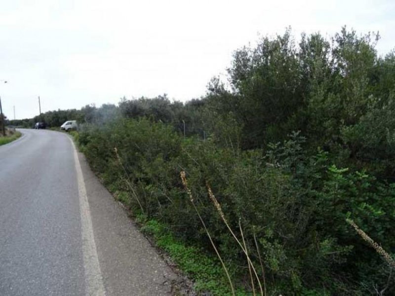 Sisi Kreta, Sisi: Baugrundstück etwas außerhalb des Dorfes zu verkaufen Grundstück kaufen